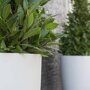 Pottery Pots Essential Ben ronde plantenbak middelhoog mat wit detail